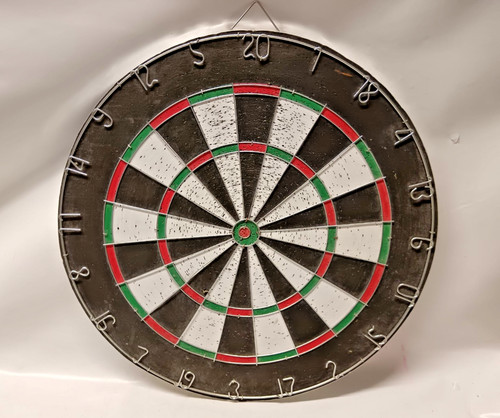 Dartboard professor puzzle - professor,