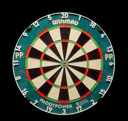 Winmau blade paddy - 6,